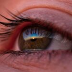 Découvrir la science par le regard